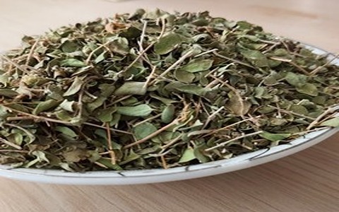 تصویر 4 از قیمت گیاه آویشن کوهی مرغوب با کیفیت ارزان + خرید عمده